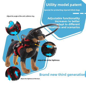 Blind dog wearing an adjustable halo harness with a front hoop that meets obstacles first