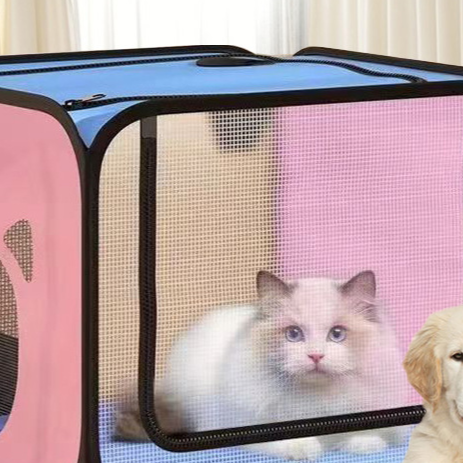 White cat resting inside the open pink pet drying box with blue top and mesh side panel