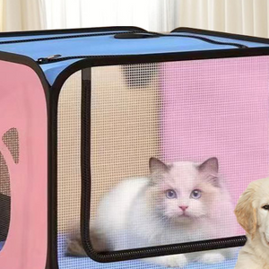 White cat resting inside the open pink pet drying box with blue top and mesh side panel
