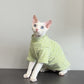 Light green striped cat shirt with a raised collar on a seated hairless cat, three quarter view