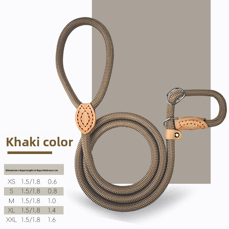 Khaki rope dog slip lead coiled neatly on a plain studio background