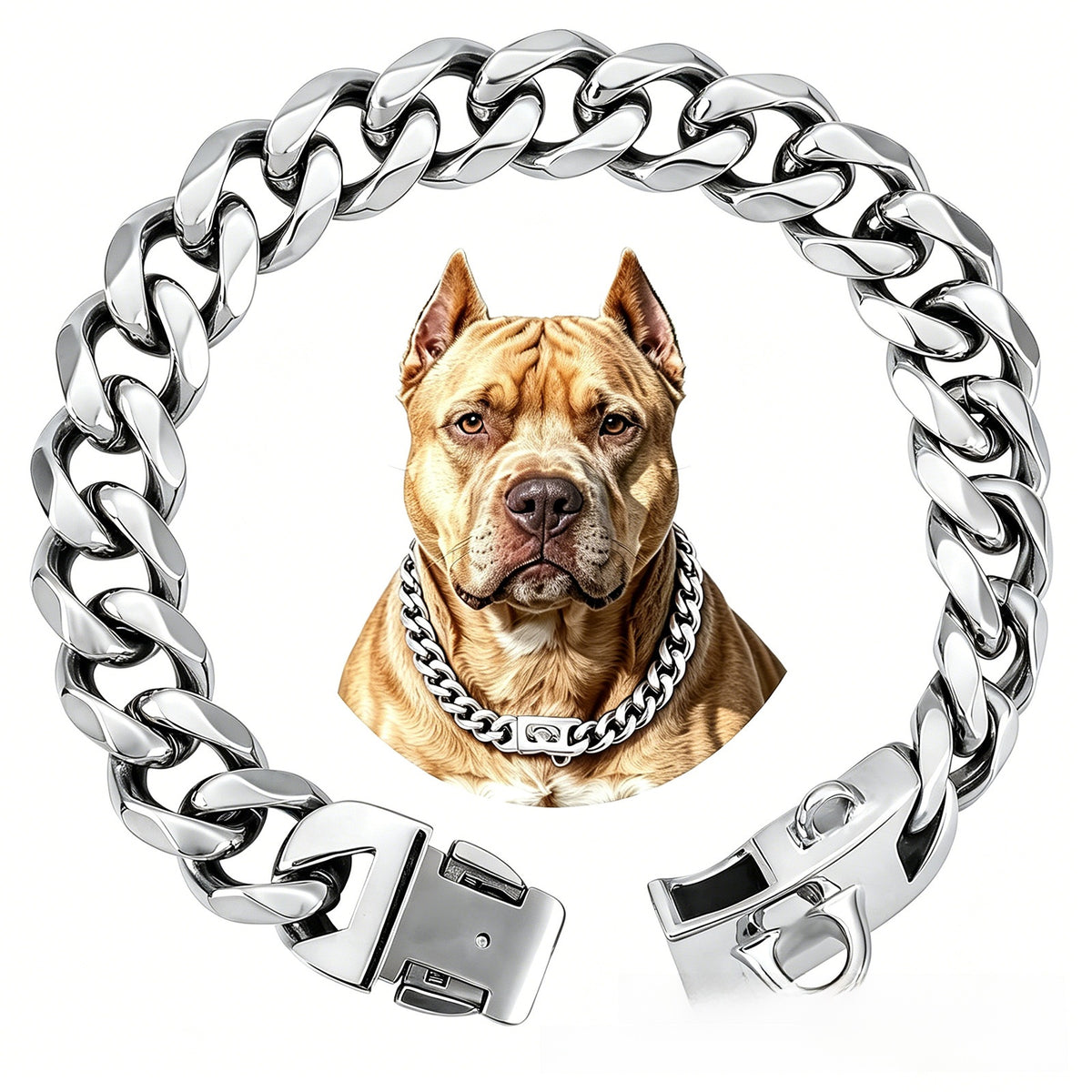 Snap lock buckle and rounded Cuban links on a polished stainless steel dog collar