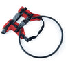 Detachable Red / M | 33 cm ring, 11 to 18 kg