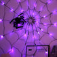 Purple lit spider web net light with a black spider prop hung on a wall