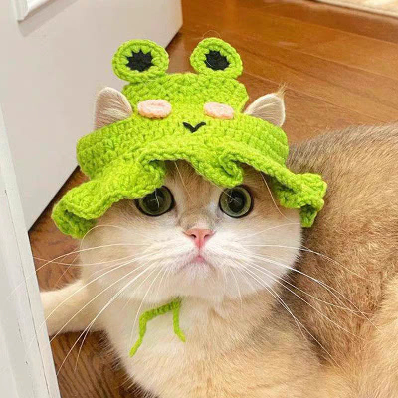 Green frog hand crocheted hat worn by a small cat indoors