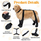 Set of four dog boots connected to an adjustable suspender harness