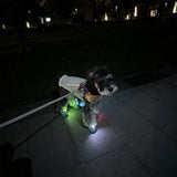LED Pet Safety Light For Dogs