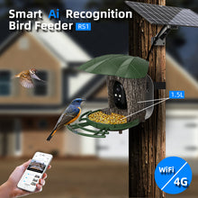 Solar Bird Feeder with Camera, Night Vision and AI Recognition