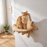 Star jumping platform - 1 piece