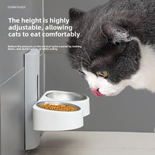 Wall Mounted Adjustable Height Double Pet Bowl