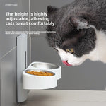 Wall mounted double pet bowl with steel bowls and a cat reaching to eat