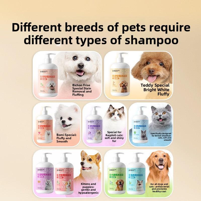 Panel of breed named pet shampoo bottles with Bichon, Teddy, Pomeranian and cat portraits