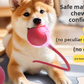 Close view of the ribbed silicone shell and clear PC housing of the rolling pet ball