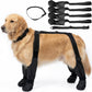 Black dog boots with hook and loop straps around the legs