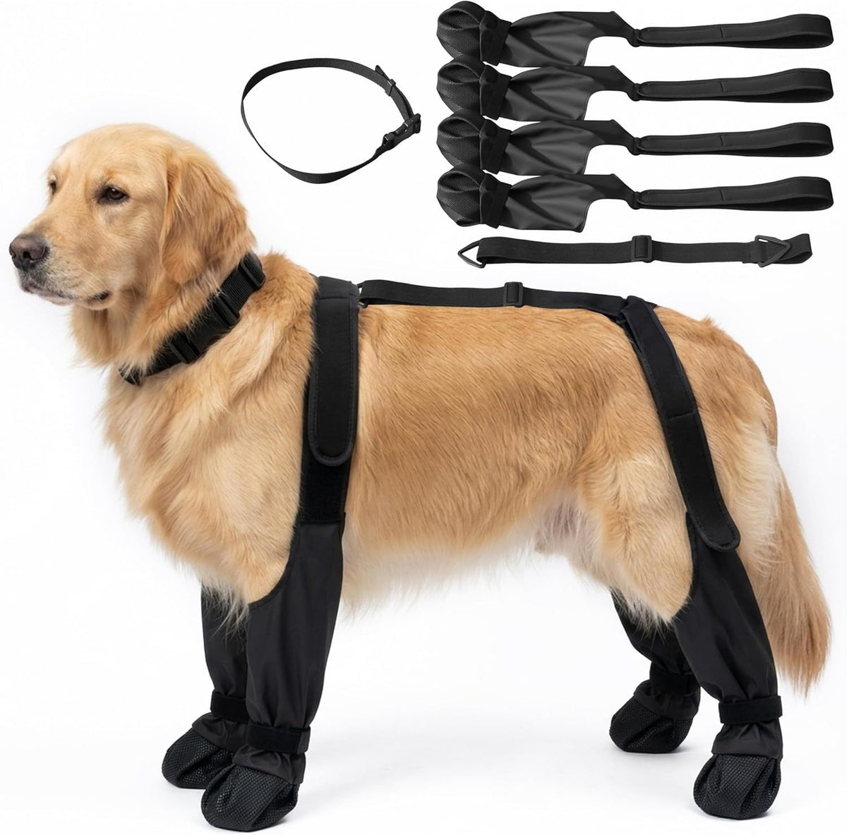 Black dog boots with hook and loop straps around the legs