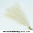 Beige White 10pcs