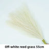 Beige White 10pcs