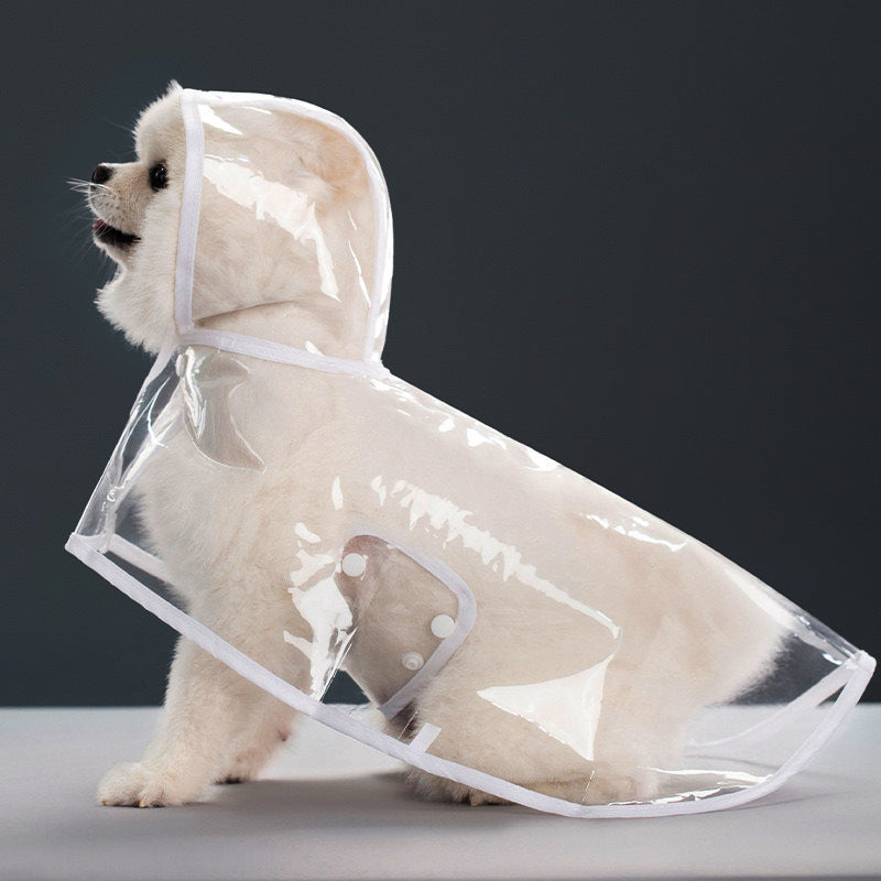 Small white dog seated in a clear EVA hooded rain poncho with white trim, studio profile view