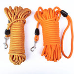 Gold and orange round nylon dog training long lines coiled with metal snap clips
