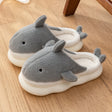 Gray Shark