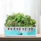 Base tank of the hydroponic garden showing net pods and a blue water reservoir feeding the herb roots