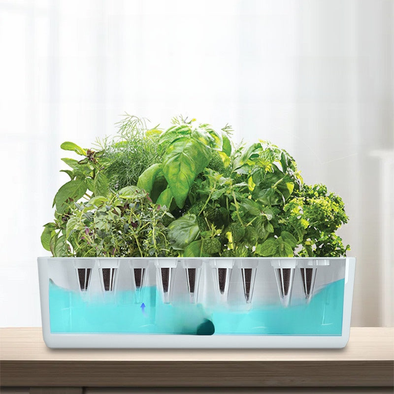 Base tank of the hydroponic garden showing net pods and a blue water reservoir feeding the herb roots