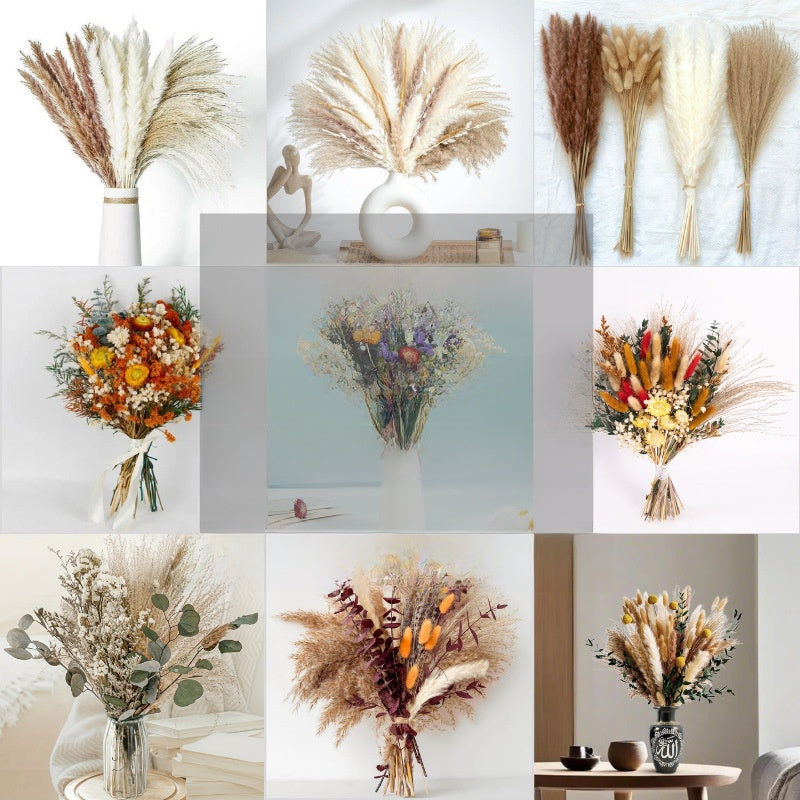 Grid of natural dried flower bouquets with pampas grass bunny tails eucalyptus and mixed dried florals