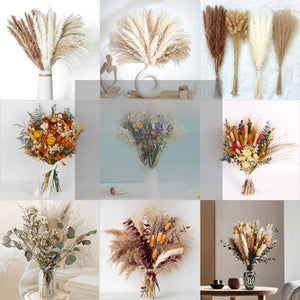 Grid of natural dried flower bouquets with pampas grass bunny tails eucalyptus and mixed dried florals