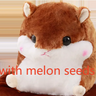 Hold melon seeds dark brown hamster