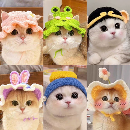Collage of several hand crocheted animal and fruit shaped pet hats