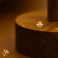 Angled view of the gold snowflake floral stud earrings showing the warm gold tone