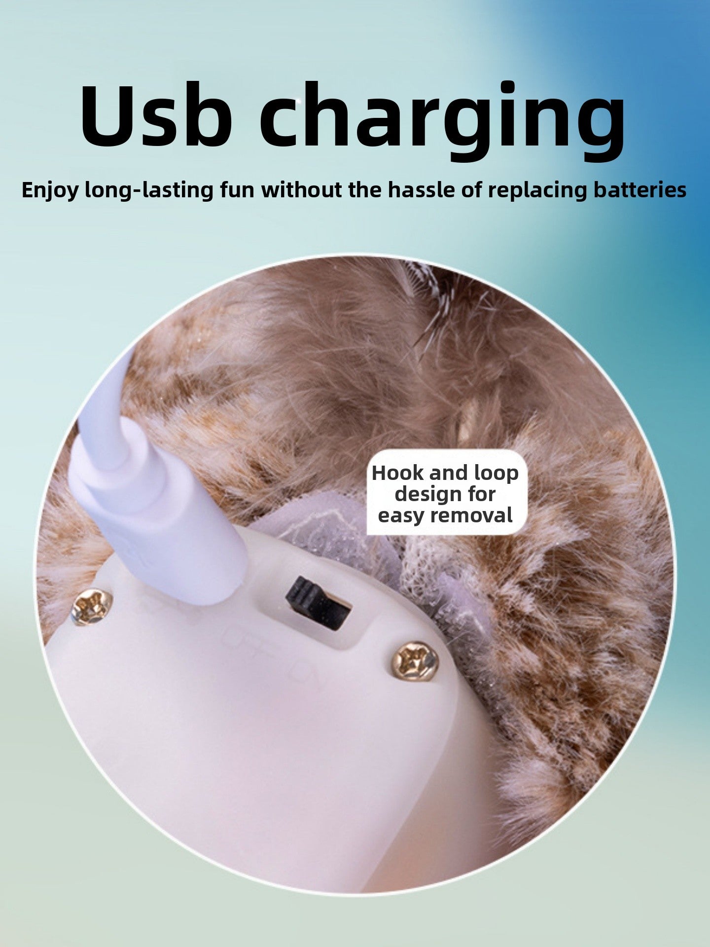 Electric Bird Cat Toy | close up material texture