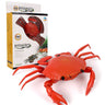 Remote control crab-orange