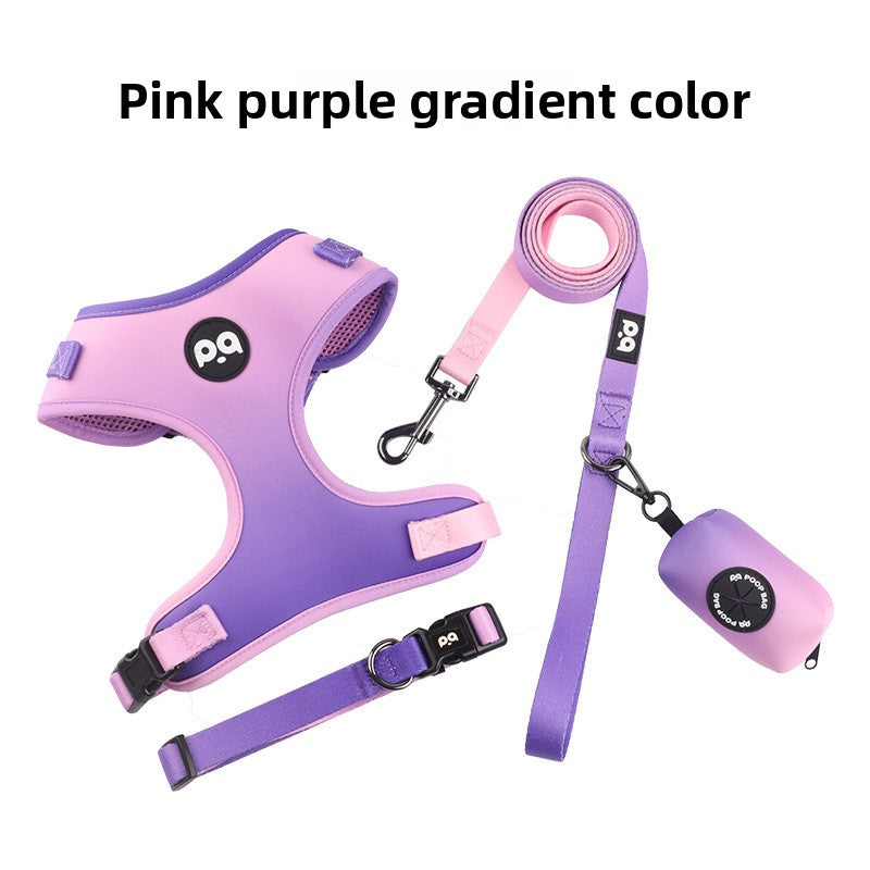 Full dog walking set laid out flat showing the harness buckles, collar D ring, leash clip and pouch