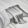 Silver Gray / 48x74cm 2pcs
