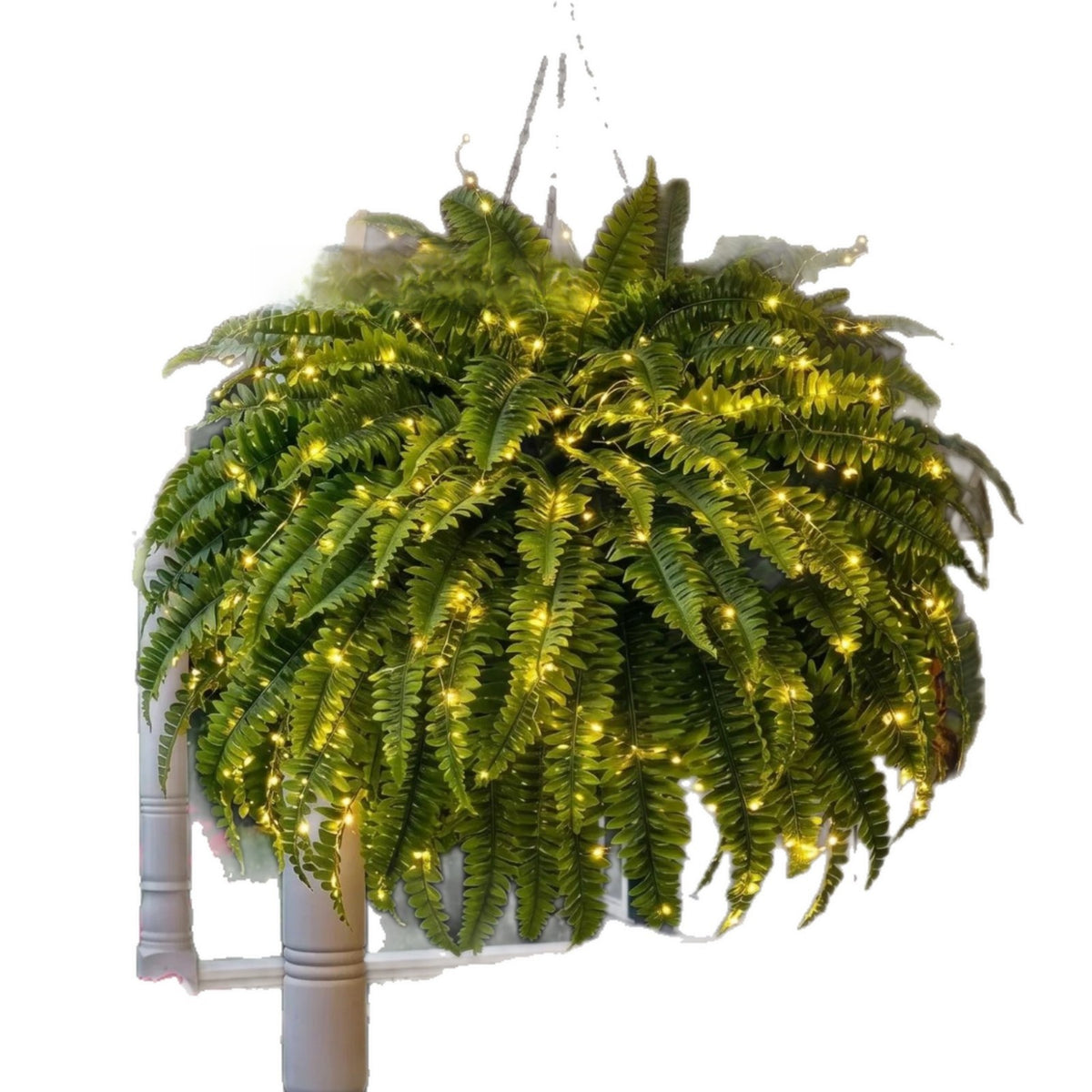 Lit artificial Boston fern hanging on a chain against a plain white background