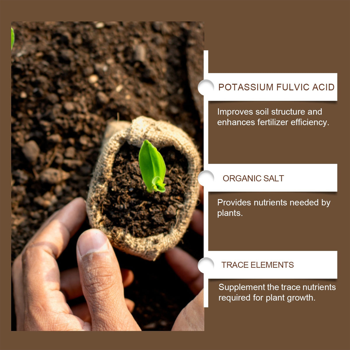 Gardener holding a seedling in a burlap pot over soil beside panels naming potassium fulvic acid and trace elements