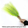 Yellow-Green Gradient 10pcs