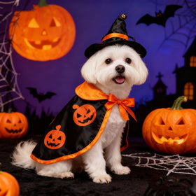 Pet Halloween Pumpkin Cape and Witch Hat Costume