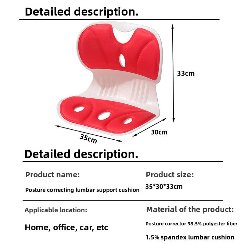 Lumbar Support Cushion | lifestyle context