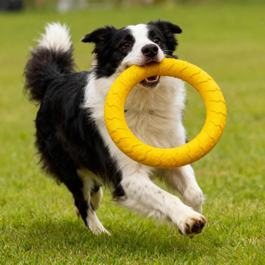 Dog toy set with EVA foam rings, bite ropes, a frisbee and squeaky toys