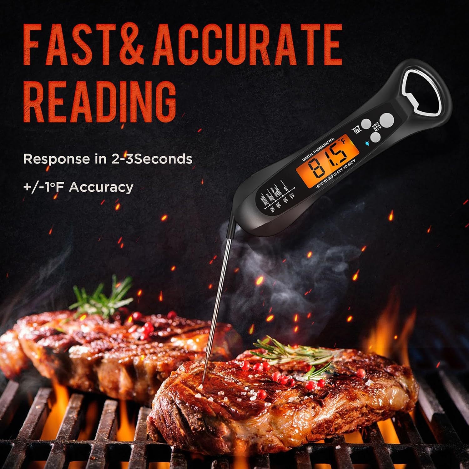 Digital Food Thermometer with Folding Probe
