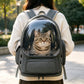 Woman wearing a gray dome pet carrier backpack with a tabby cat looking out of the clear window in a park