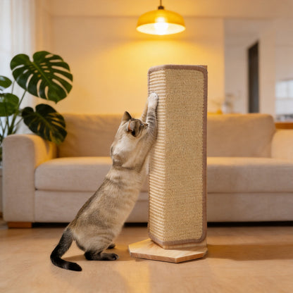 Cat stretching up a tall sisal scratching post on a wood base beside a sofa under a warm yellow lamp