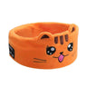 Orange cat