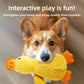 Close up of a corgi looking at the camera with a yellow plush duck toy with orange beak and feet in its mouth