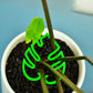 Green leaf shaped plant clip holding a stem upright in a white pot beside a green leaf