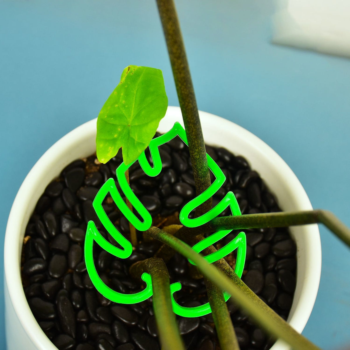 Green leaf shaped plant clip holding a stem upright in a white pot beside a green leaf