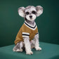 Dog Knitted V Neck Cricket Sweater