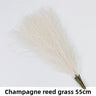 Champagne 10pcs